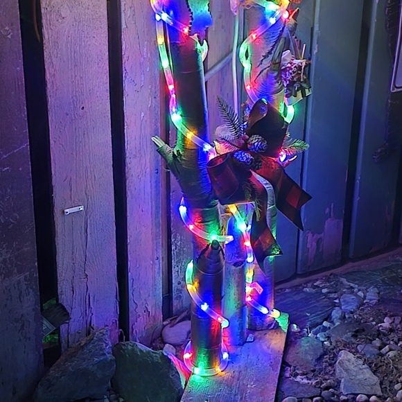 Meet your Posher, Lori-anne - Picture 7 of 9